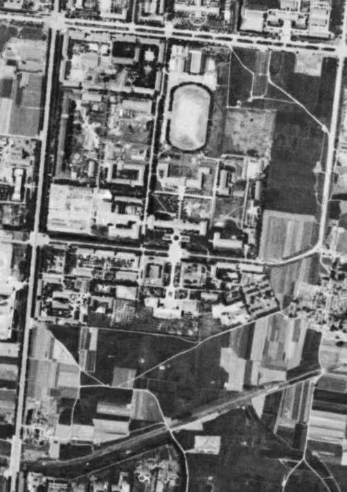 学校卫星图